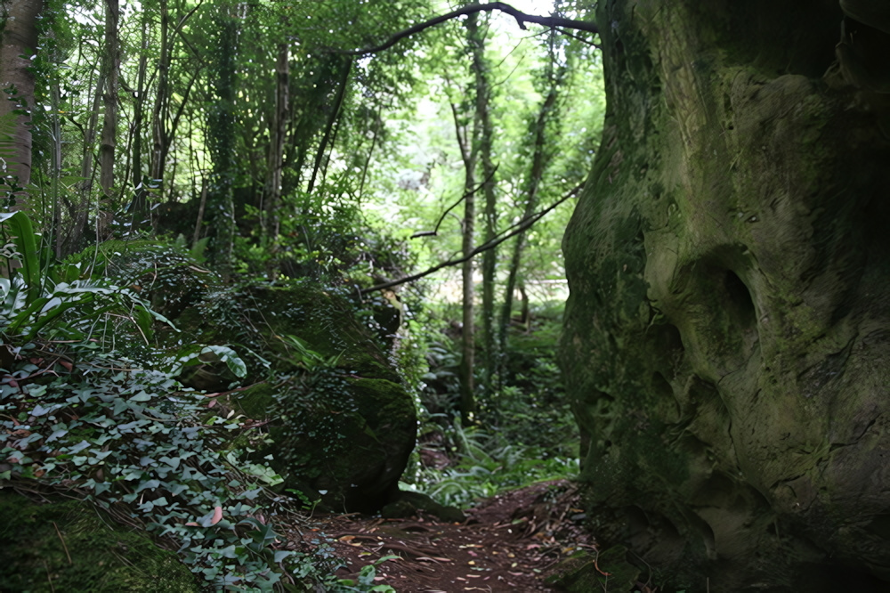 Cueva de la Andina
